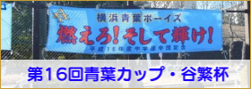 青葉カップ・谷繁杯