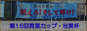 青葉カップ・谷繁杯