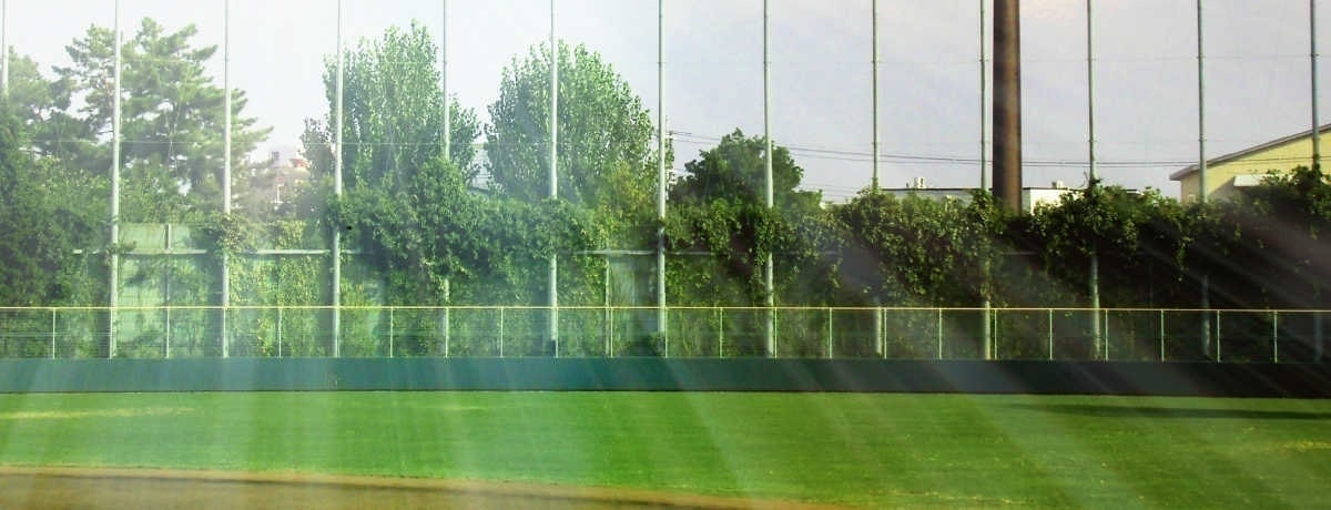 さわやかカップ