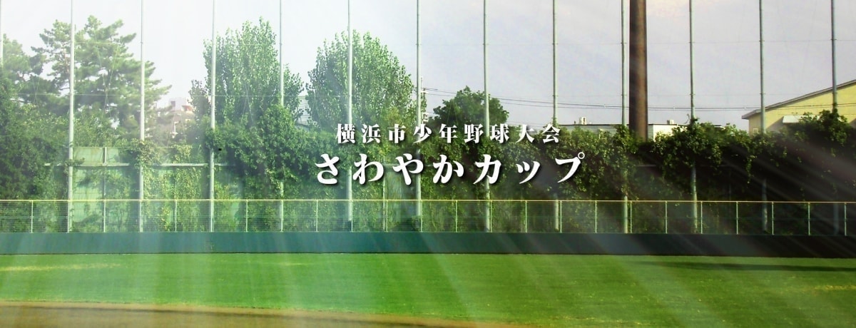 さわやかカップ